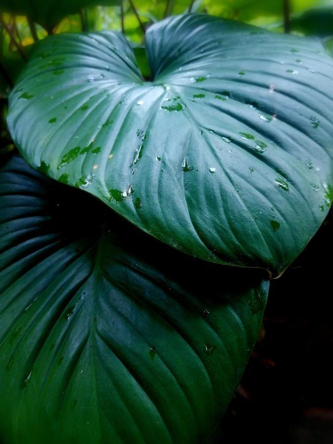 Finca Kobo Palo Seco Экстерьер фото