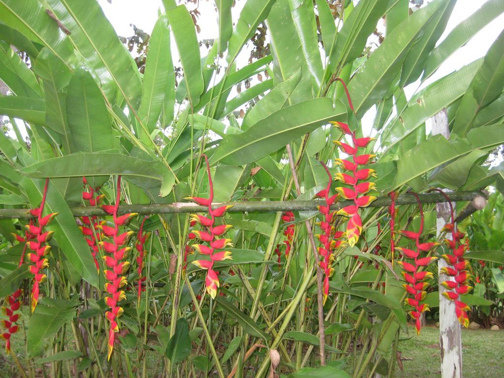Finca Kobo Palo Seco Экстерьер фото