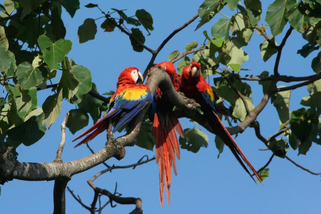 Finca Kobo Palo Seco Экстерьер фото